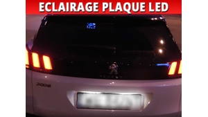 Pack modules led plaque arrière pour Peugeot 3008 2 Blanc 6000K